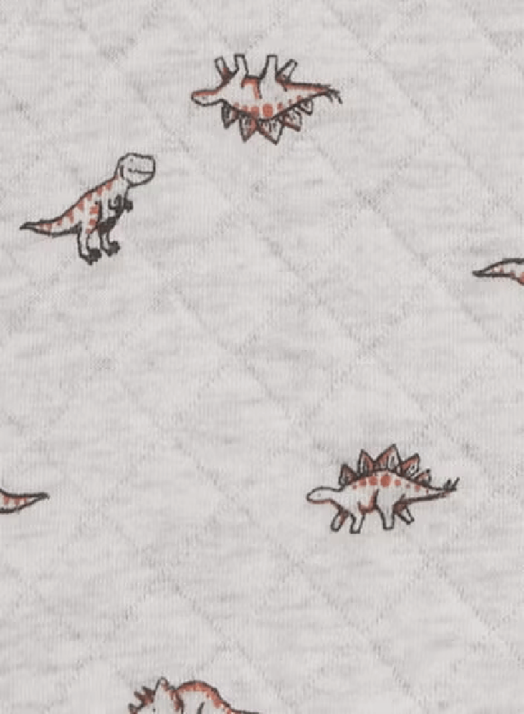 CONJUNTO 3 PIEZAS CHAQUETA DINOSAURIO