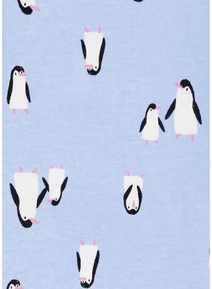 Pijama Enteriza Pinguinitos x 2
